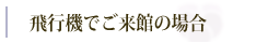 飛行機でご来館の場合